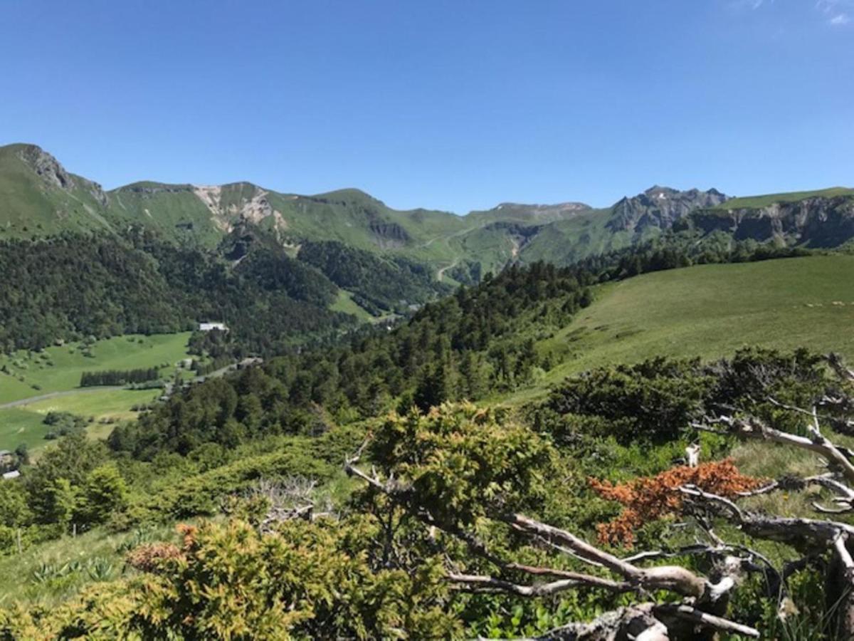 Appartement T3 Avec Terrasse, Proche Centre Et Thermes De La Bourboule - Fr-1-608-236 Kültér fotó